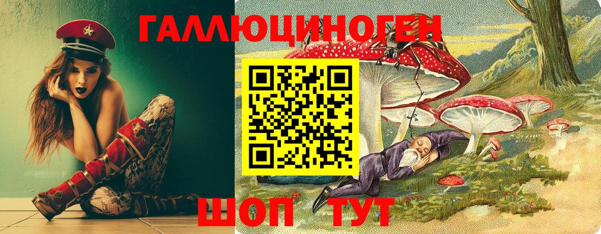 Псилоцибиновые грибы мицелий Заречный