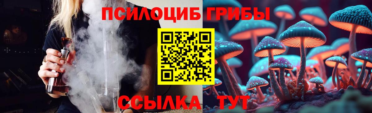 Псилоцибиновые грибы Cubensis  Галлюциногенные грибы Magic Shrooms  Заречный  Вход с VPN 